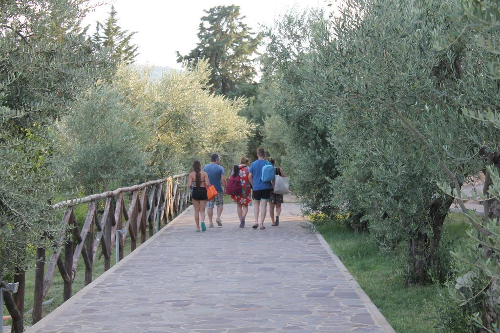 Agriturismo L'Assiolo Miglionico Extérieur photo